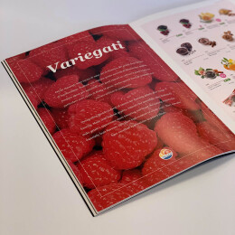 Esempio book