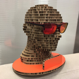 3D-testa-cartone