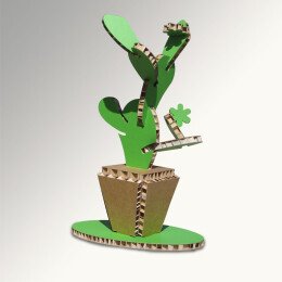 Cactus 2