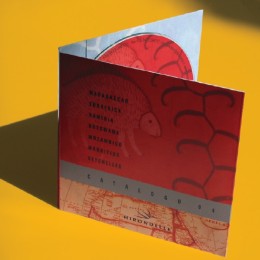 custodia-dvd-in-cartoncino